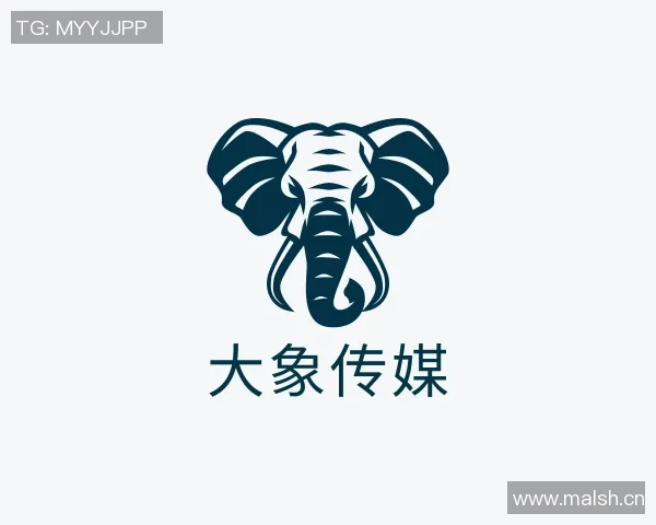 dopa最新麻豆视频-DOPA最新麻豆视频，艺术与技术的融合